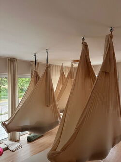 Aerial Yoga